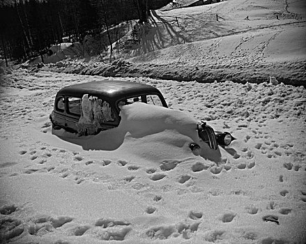 汽车,积雪
