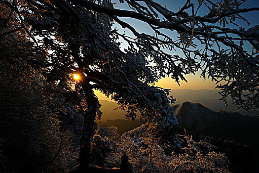 武当山雪景