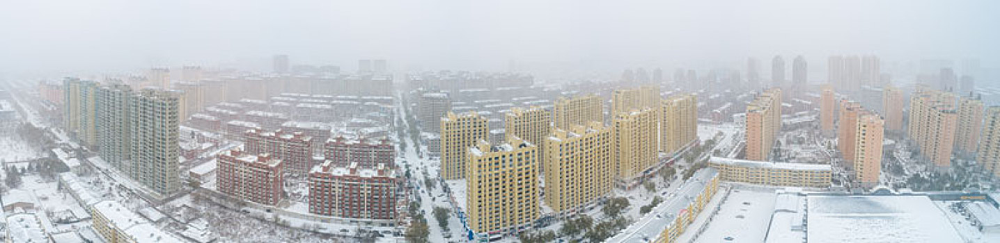城市雪景,冬季的雪景