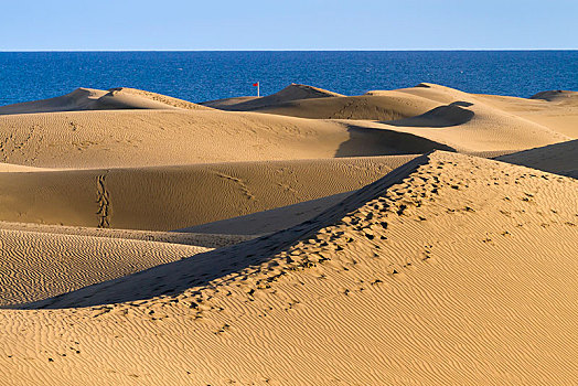 沙丘,正面,大西洋,海洋,大卡纳利岛,西班牙,欧洲