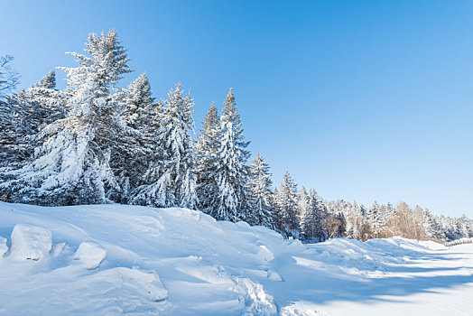 冬季长白山的雪地和雾凇