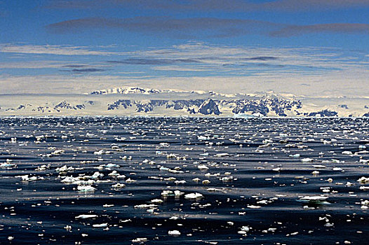 南极半岛,山峦,漂浮,冰
