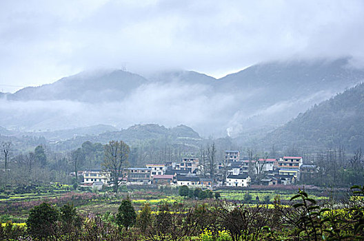 雾色田园