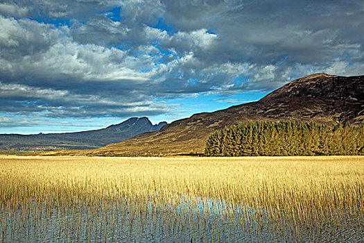 风景,晴朗,湿地,山,湖,苏格兰