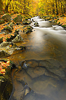 河,秋天,山谷,坏,图林根州,德国,欧洲