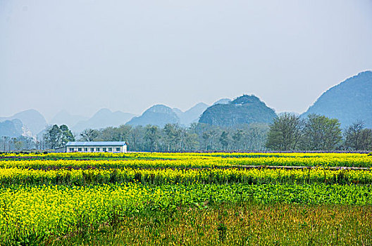 田园春色