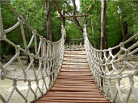 探险,木质,绳索,丛林,吊桥