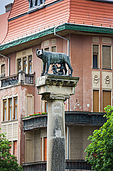 罗马尼亚,巴纳特,区域,蒂米什瓦拉,柱子