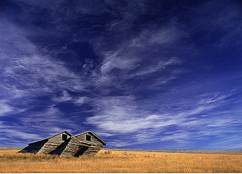 小屋,地点,靠近,草原国家公园,萨斯喀彻温,加拿大