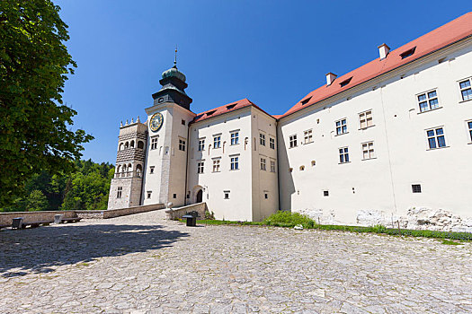 14世纪,防护,城堡,牢固,入口,靠近,克拉科夫,波兰