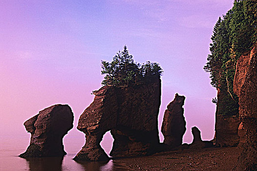 霍伯威尔岩,黎明,新布兰斯维克,加拿大