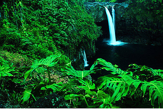 彩虹瀑布,叶子,夏威夷,美国
