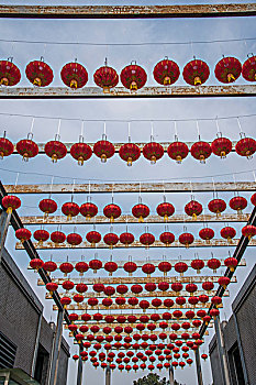 重庆巴南花木世界园林中的红灯笼