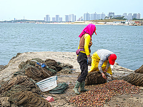 海边,大海,渔船,传说,码头,渔民,劳作