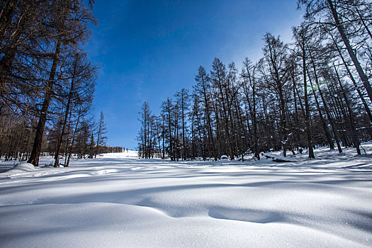 新疆禾木村雪景风光
