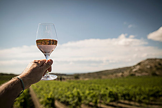 成熟,男人,拿着,向上,葡萄酒杯,葡萄园,背景,法国南部