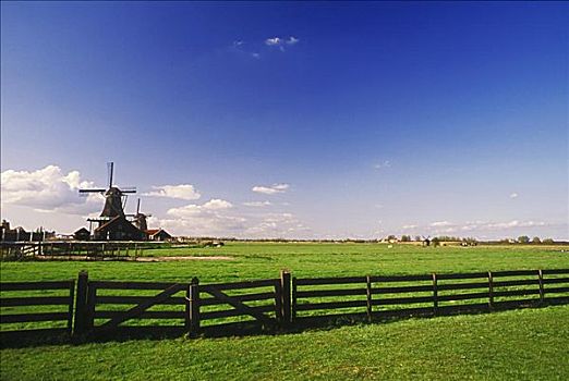 传统风车,地点,阿姆斯特丹,荷兰