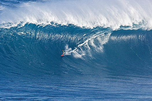 夏威夷,毛伊岛,颚部,冲浪,巨大,波浪