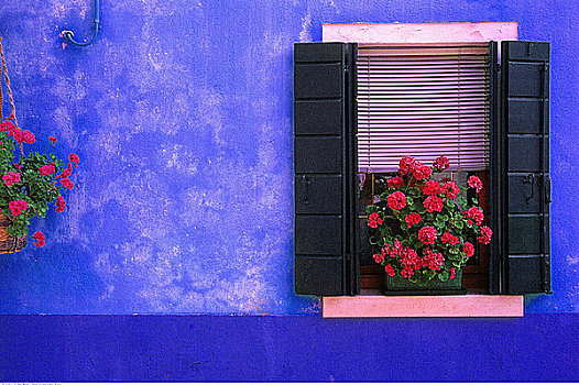 花,窗台,威尼斯泻湖,意大利