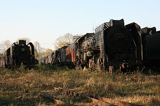 报废的蒸汽机车图片