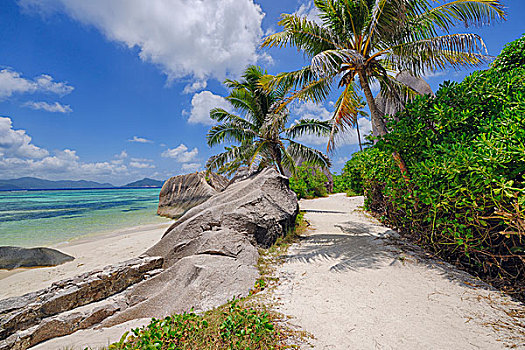 小路,石头,棕榈树,拉迪格岛,塞舌尔