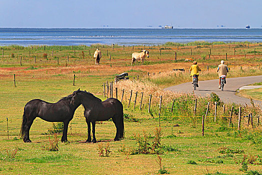 瓦登岛,群岛,岛屿