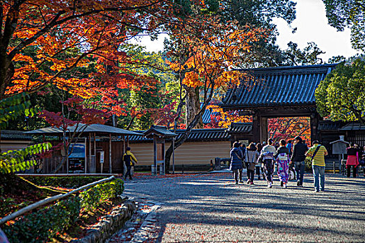 日本京都金阁寺