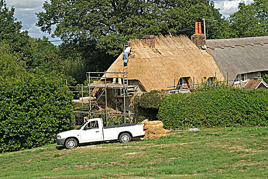 茅屋匠,工作,屋顶,捆,茅草屋顶,芦苇,屋舍,乡村,多西特,英格兰,英国,欧洲