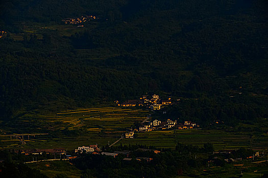 山,油菜花,春天,森林公园,驴友