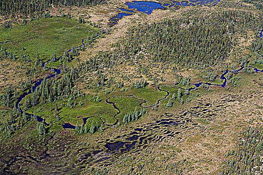 航拍,湿地,风景,南方,拉布拉多犬,纽芬兰,加拿大