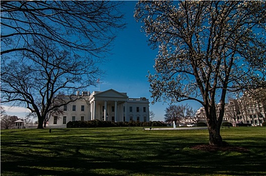 白宫,华盛顿特区,漂亮,蓝天