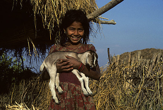 尼泊尔,女孩,孩子,山羊