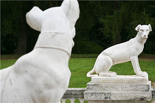 狗,雕塑,老式,罗马