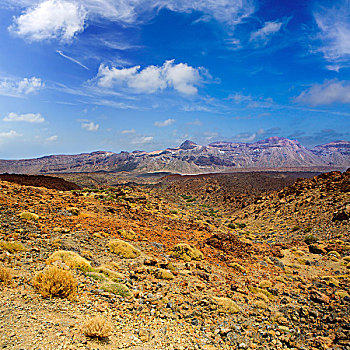 加纳利群岛,特内里费岛,泰德国家公园