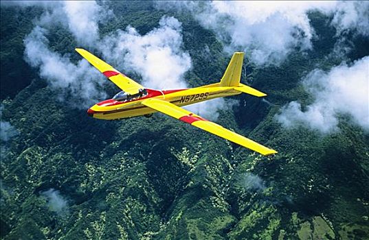 夏威夷,毛伊岛,黄色,滑翔机,上方
