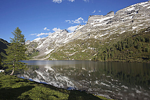 清晰,山,湖,反射,伯恩高地,瑞士,欧洲
