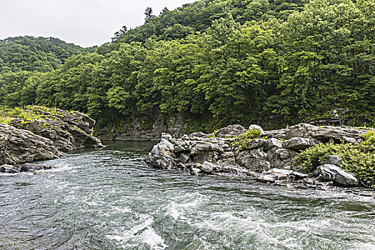 山谷,日本