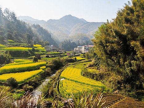 皖南山乡田园风光