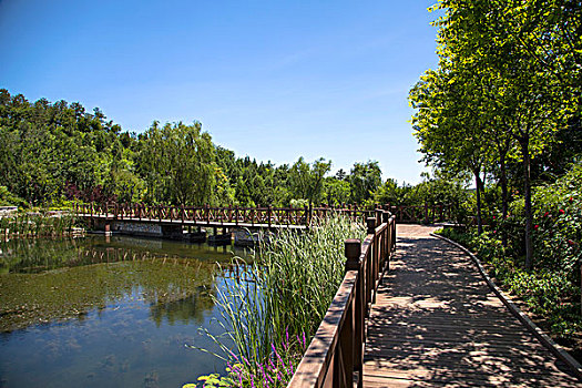 中国古典园林建筑木板桥
