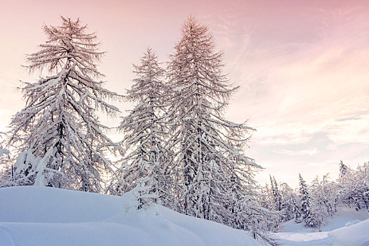 冬季风景,山,朱利安阿尔卑斯,斯洛文尼亚