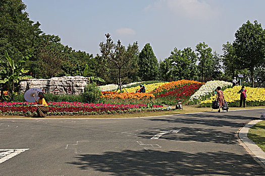 百合园