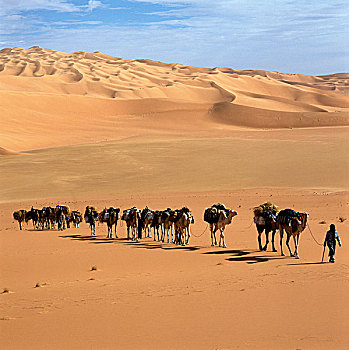 利比亚,撒哈拉沙漠,沙,沙漠,骆驼,驼队