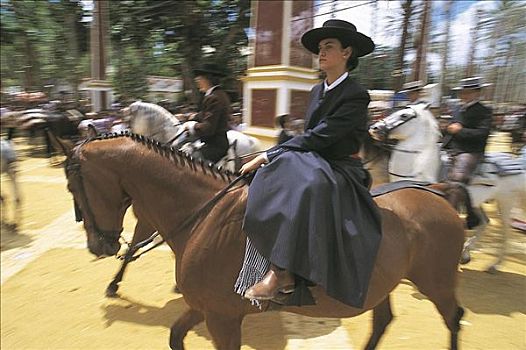 女青年,骑,马鞍,节日,安达卢西亚,西班牙,哺乳动物,牲畜,动物