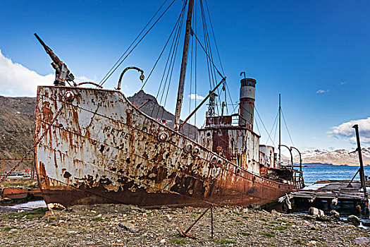 古物,船,老,捕鲸站,格利特维肯,南乔治亚,斯瓦尔巴特群岛,挪威