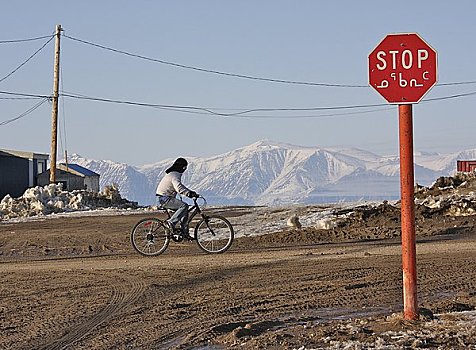 骑车,水塘,小湾,背景,巴芬岛,加拿大