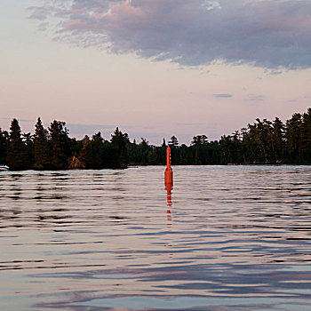 航行,浮漂,中间,湖,木头,安大略省,加拿大