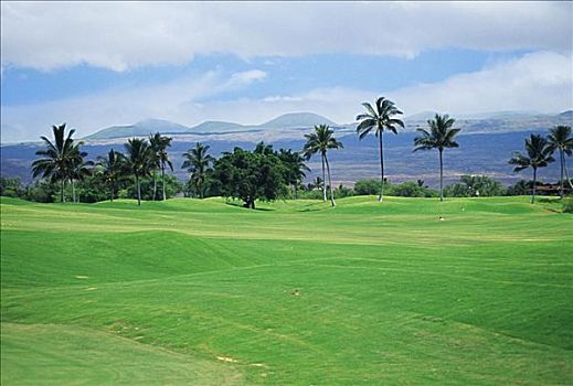 夏威夷,哈普纳,王子,高尔夫球场,俯视,绿色