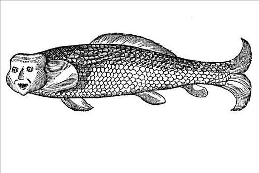 木刻,鲤鱼,1642年,文艺复兴