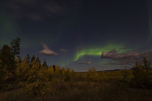 北极光,云,秋色,育空地区,加拿大,北美