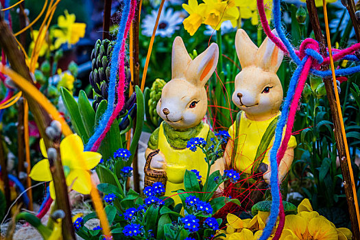 复活节兔子,走,相爱,花